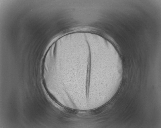 X0000080711483200701121804