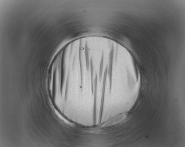 X0000080711484200701121804