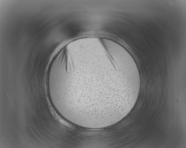 X0000080711486200701121804