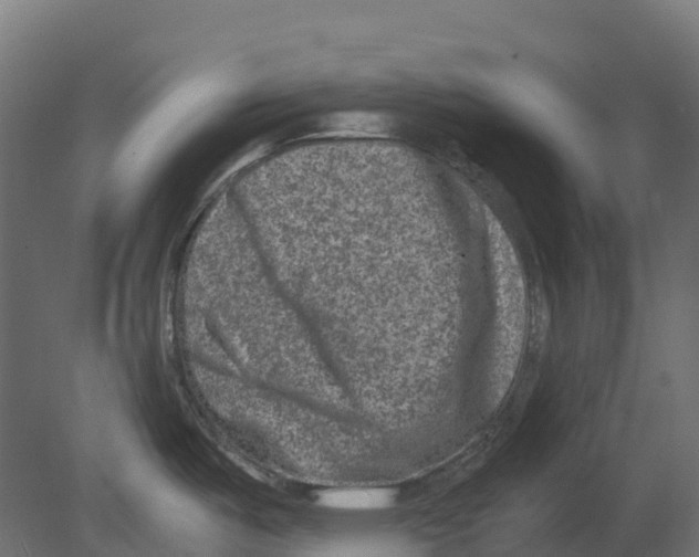 X0000080711487200701121804