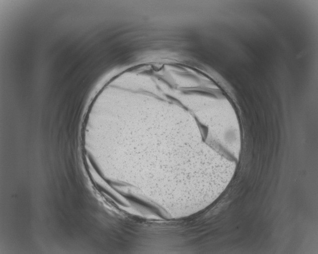 X0000080711488200701121804