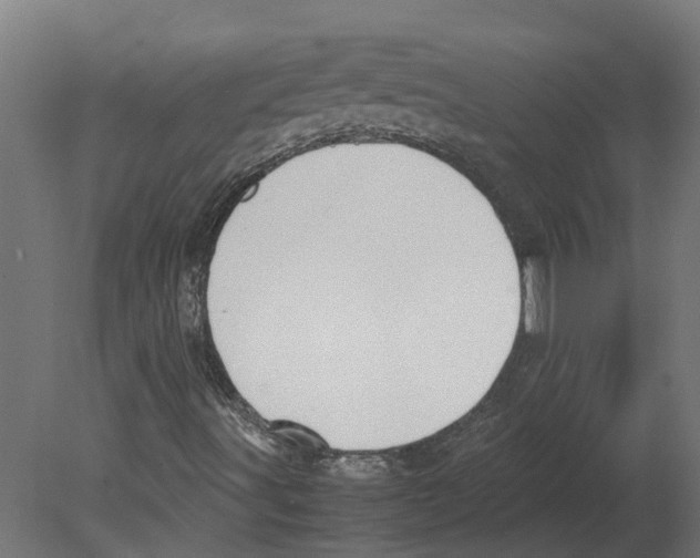 X0000080711491200701121803