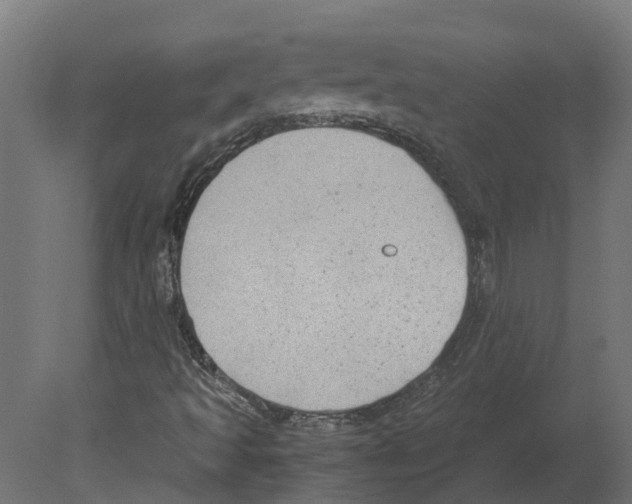 X0000080711493200701121803