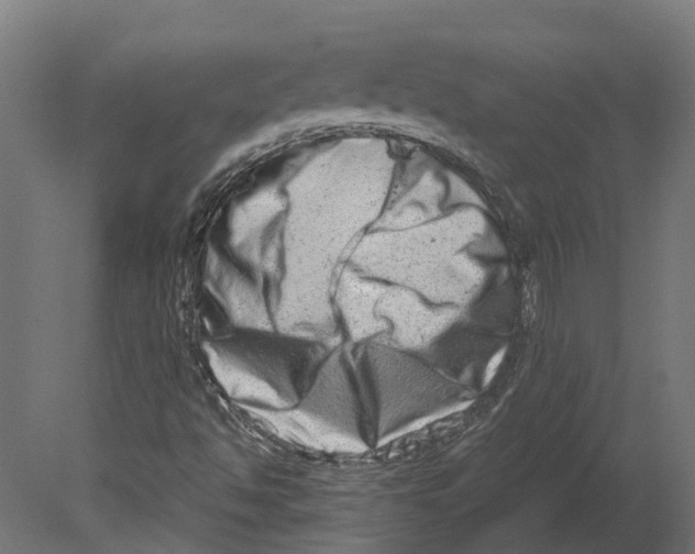 X0000080711494200701121803