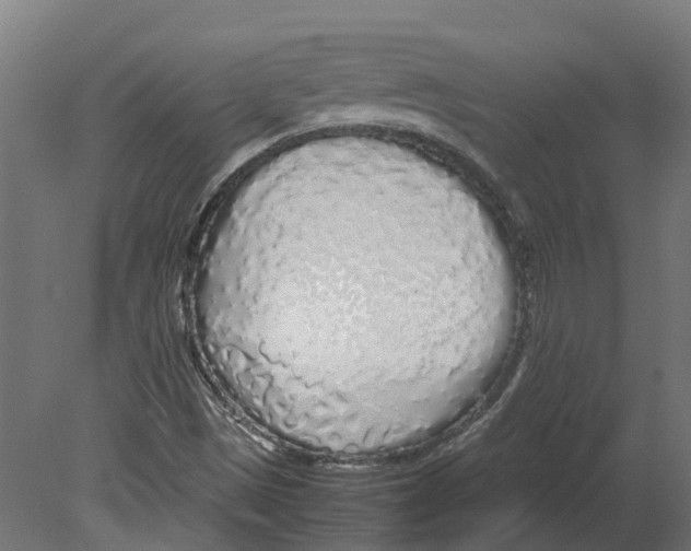 X0000080711497200701121804