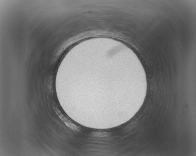 X0000080711499200701121804