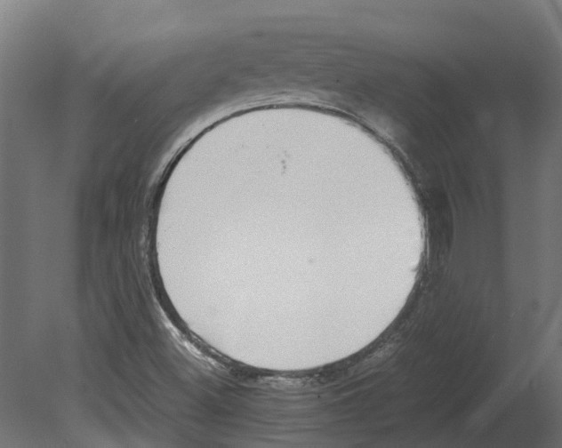 X0000080711500200701121804