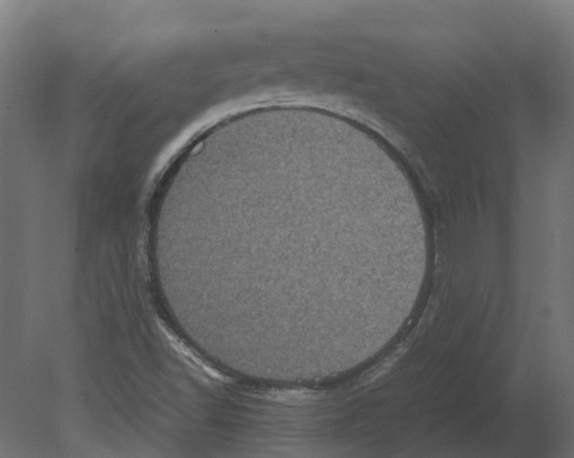 X0000080711502200701121804