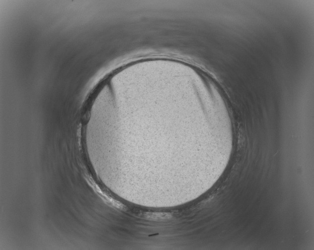 X0000080711503200701121804