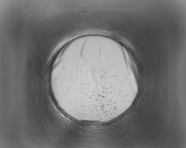 X0000080711504200701121804