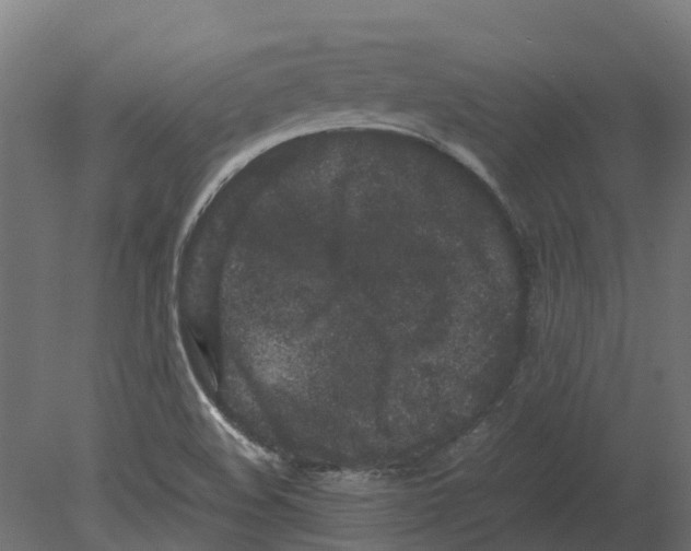 X0000080711508200701121804