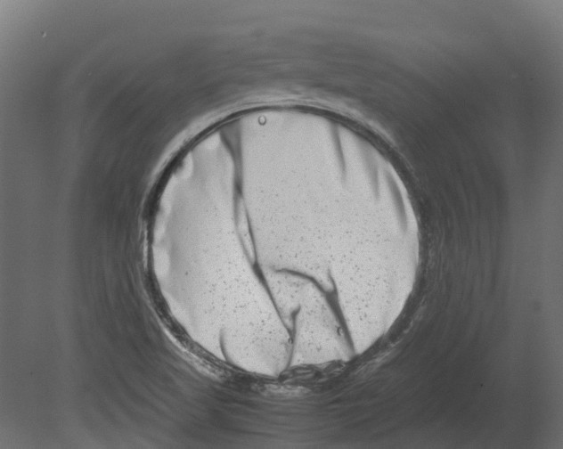 X0000080711509200701121804