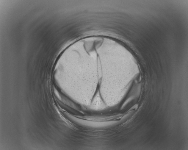 X0000080711513200701121804