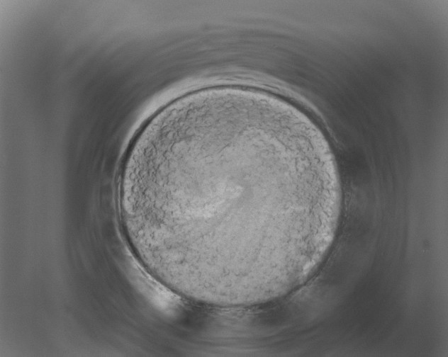 X0000080711514200701121804