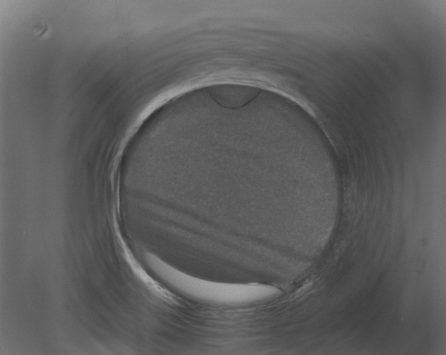 X0000080711515200701121804