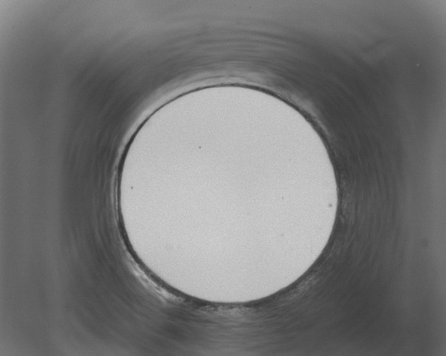 X0000080711516200701121804