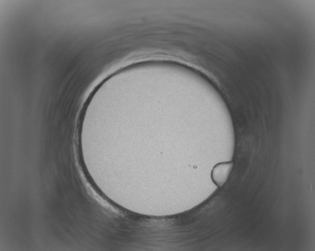 X0000080711518200701121804