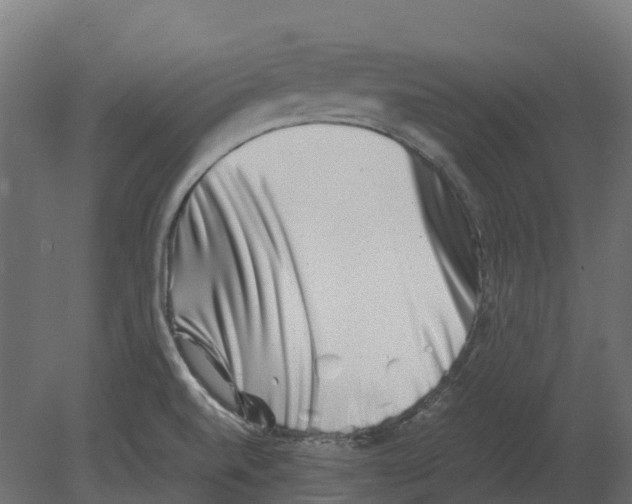 X0000080711520200701121804