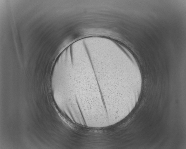 X0000080711521200701121804