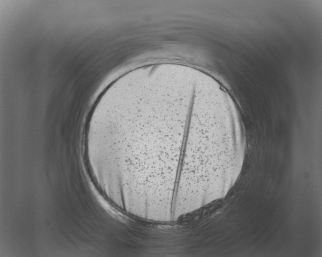 X0000080711523200701121804