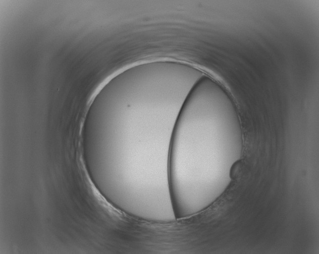 X0000080711524200701121804