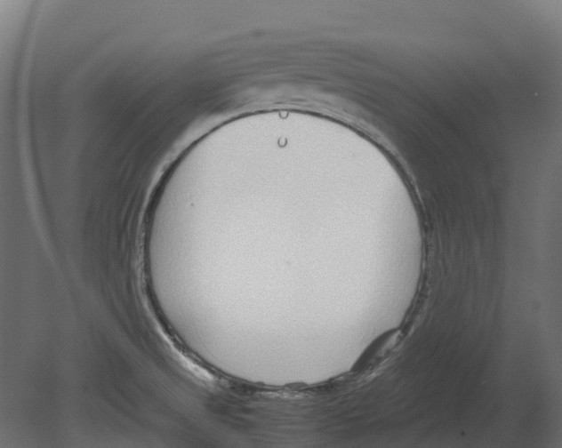 X0000080711525200701121804