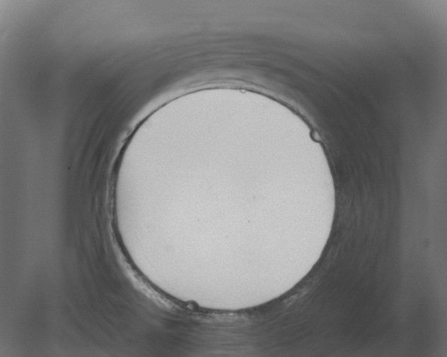 X0000080711526200701121804