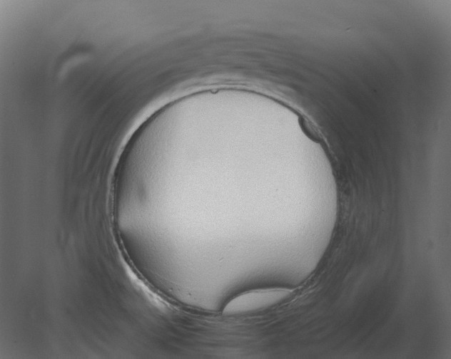 X0000080711527200701121804