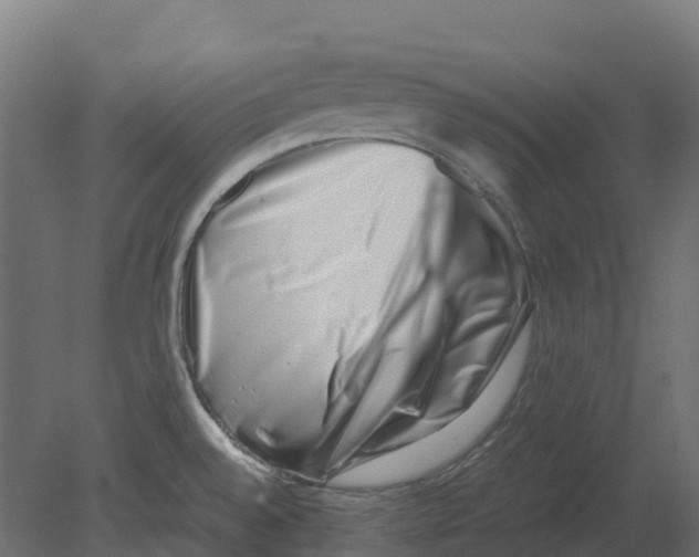 X0000080711528200701121804