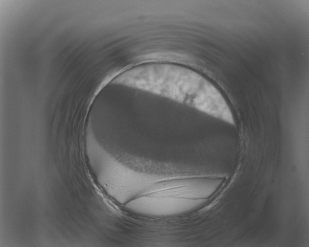 X0000080711529200701121804