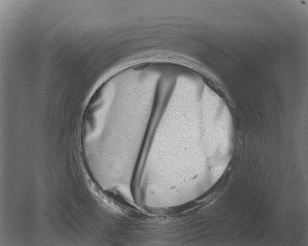 X0000080711530200701121804