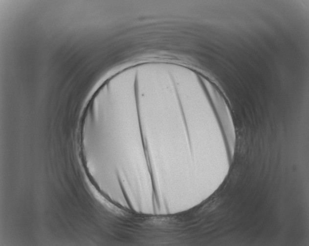 X0000080711531200701121804