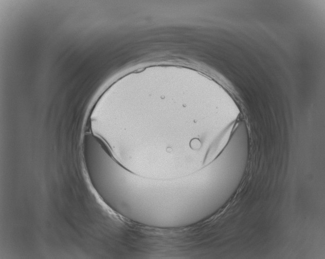 X0000080711536200701121804