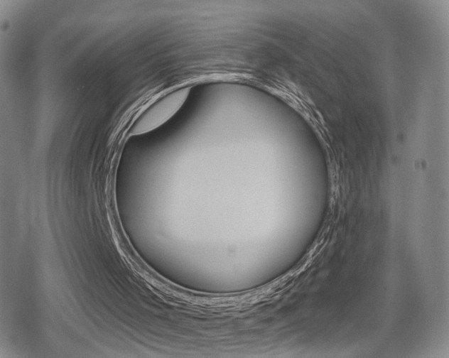 X0000080720001200612150850