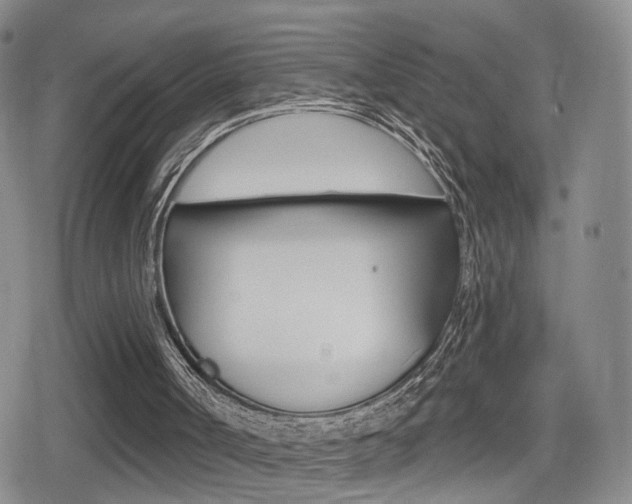 X0000080720002200612150850