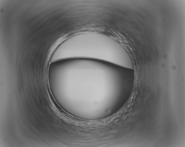 X0000080720003200612150850