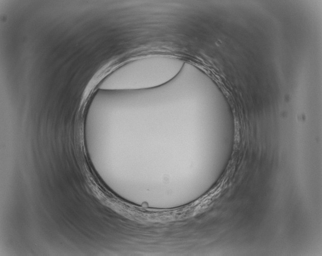 X0000080720004200612150850