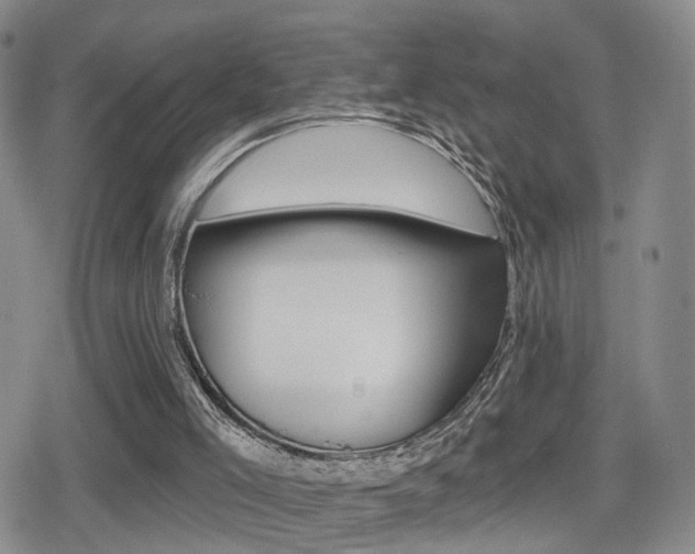 X0000080720005200612150850