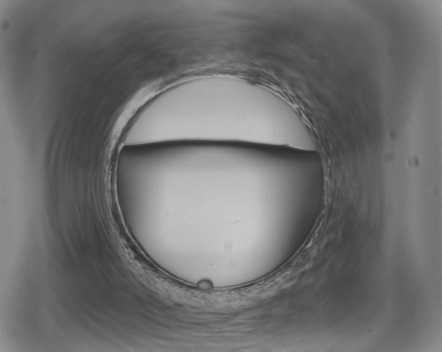 X0000080720006200612150850