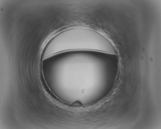 X0000080720007200612150850