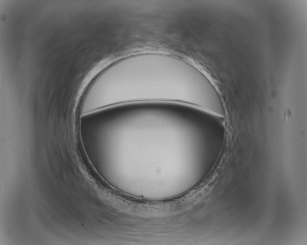 X0000080720008200612150850