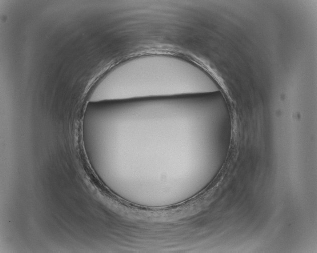 X0000080720010200612150850