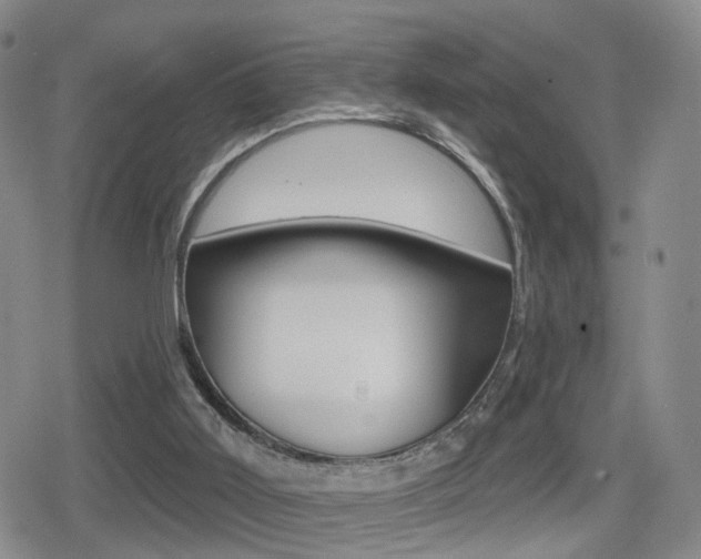 X0000080720011200612150850