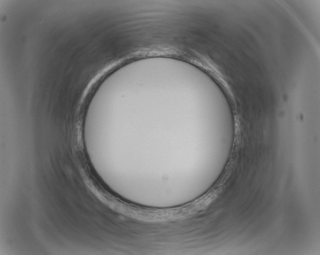 X0000080720012200612150850