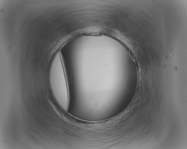 X0000080720013200612150850