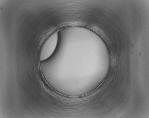 X0000080720014200612150850