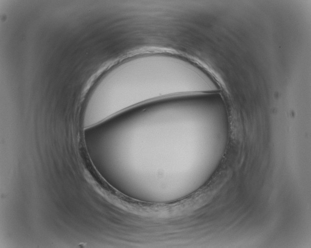 X0000080720015200612150850