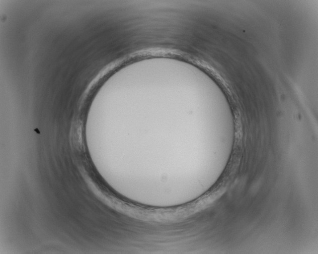 X0000080720016200612150850