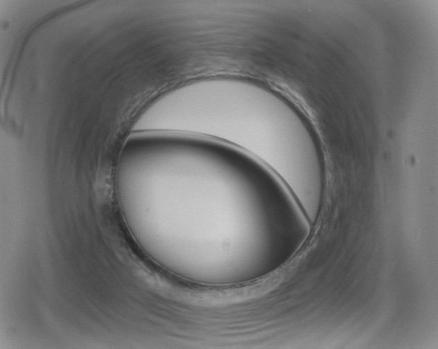 X0000080720017200612150849