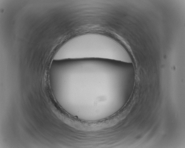 X0000080720018200612150849